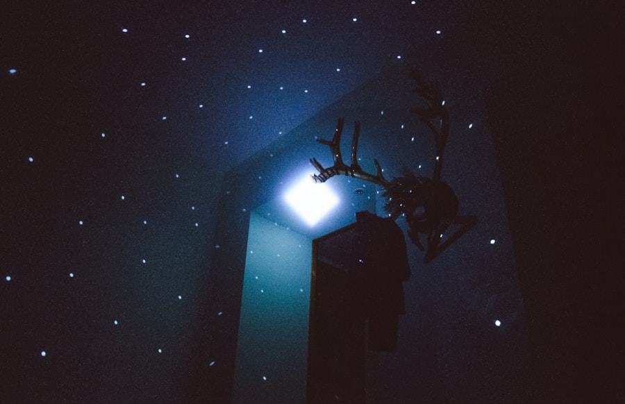 Photo "Starry sky projection atmosphere light audio-visual room"
