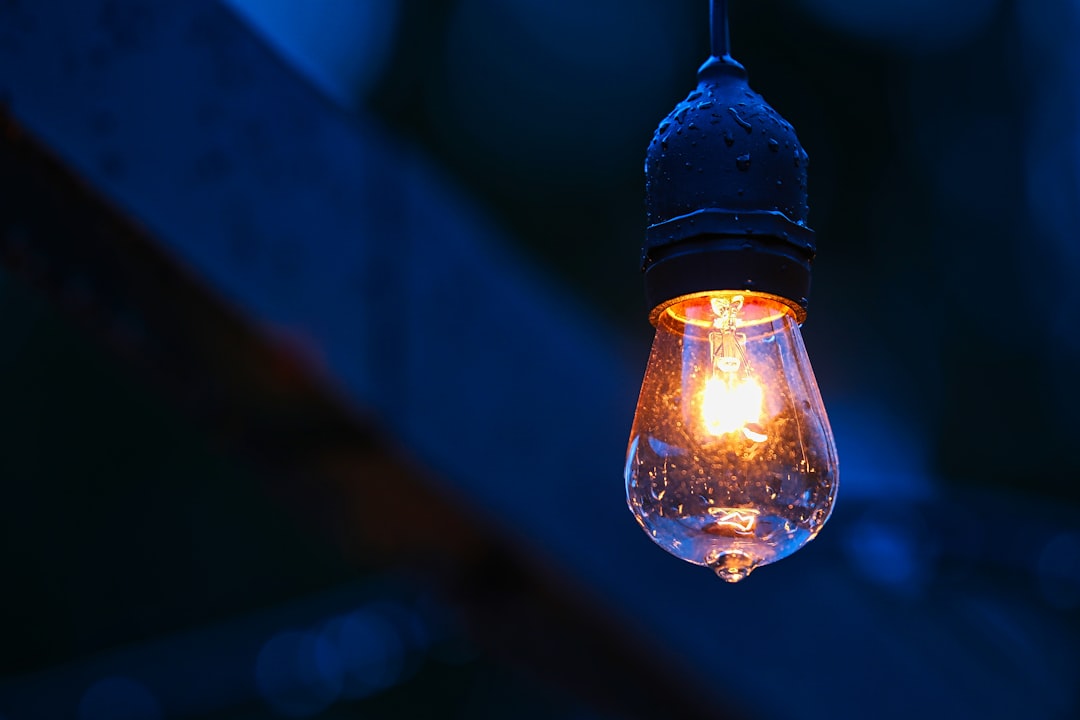 Industrial Style Bulb Pendant Lamp: Perfect for Bedrooms